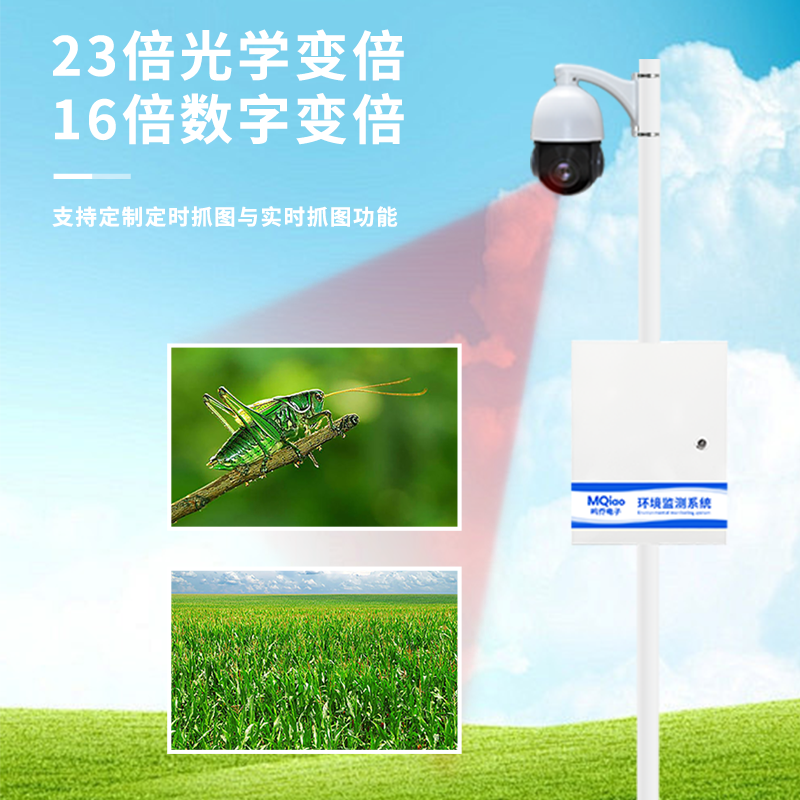 细节11.png
